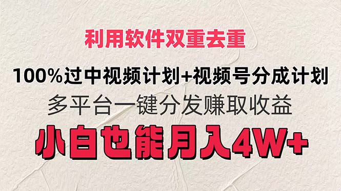 （11862期）利用软件双重去重，100%过中视频+视频号分成计划小白也可以月入4W+-硕飞聊项目