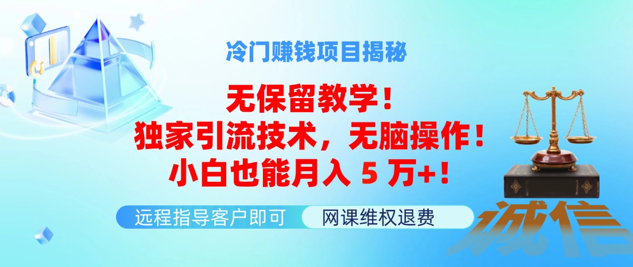 （11864期）冷门赚钱项目无保留教学！独家引流技术，无脑操作！小白也能月入5万+！-硕飞聊项目