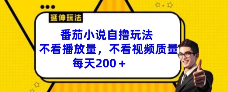 番茄小说自撸玩法，不看播放量，不看视频质量，每天200+【揭秘】-硕飞聊项目