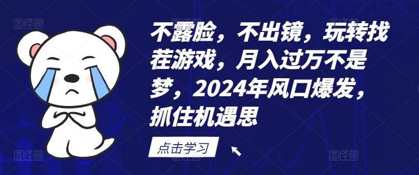 不露脸，不出镜，玩转找茬游戏，月入过万不是梦，2024年风口爆发，抓住机遇【揭秘】-硕飞聊项目