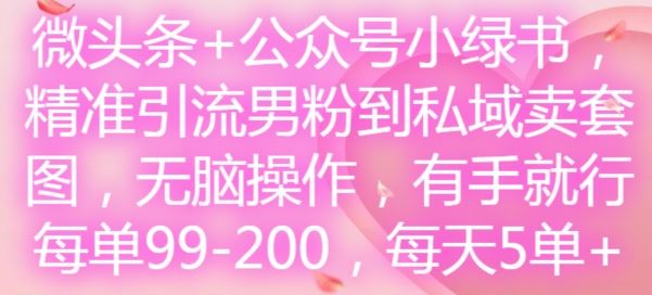 微头条+公众号小绿书，精准引流男粉到私域卖套图，无脑操作，有手就行，每单99-200，每天5单-硕飞聊项目