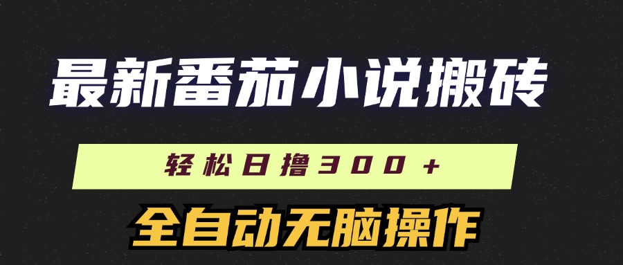 （11904期）最新番茄小说搬砖，日撸300＋！全自动操作，可矩阵放大-硕飞聊项目