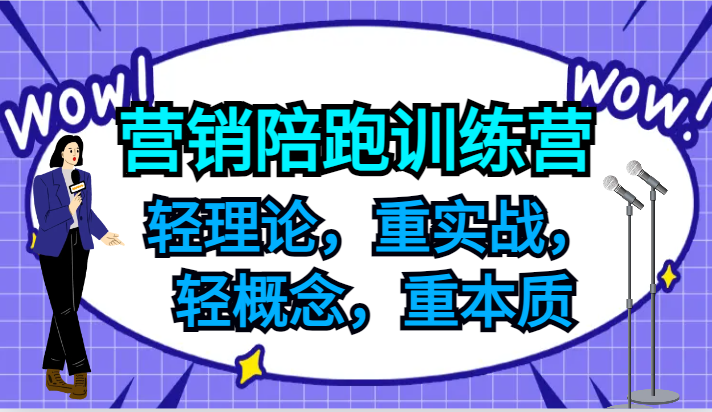 营销陪跑训练营，轻理论，重实战，轻概念，重本质，适合中小企业和初创企业的老板-硕飞聊项目