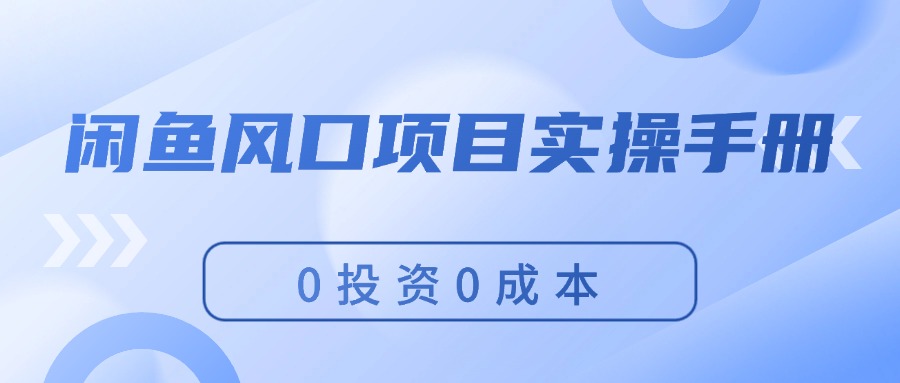 （11923期）闲鱼风口项目实操手册，0投资0成本，让你做到，月入过万，新手可做-硕飞聊项目