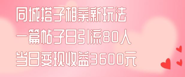 同城搭子相亲新玩法一篇帖子引流80人当日变现3600元(项目教程+实操教程)【揭秘】-硕飞聊项目