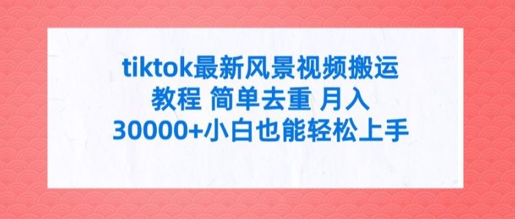 tiktok最新风景视频搬运教程 简单去重 月入3W+小白也能轻松上手【揭秘】-硕飞聊项目