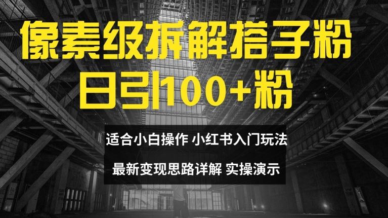 像素级拆解搭子粉，日引100+，小白看完可上手，最新变现思路详解【揭秘】-硕飞聊项目