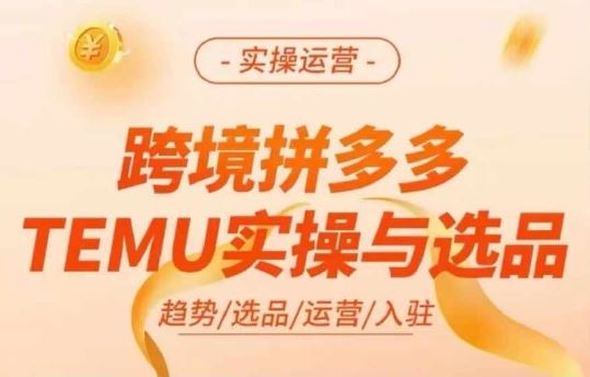 跨境拼多多TEMU实操与选品，多多temu跨境选品运营实操-硕飞聊项目