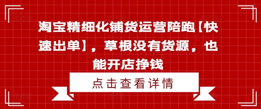 淘宝精细化铺货运营陪跑【快速出单】，草根没有货源，也能开店挣钱-硕飞聊项目