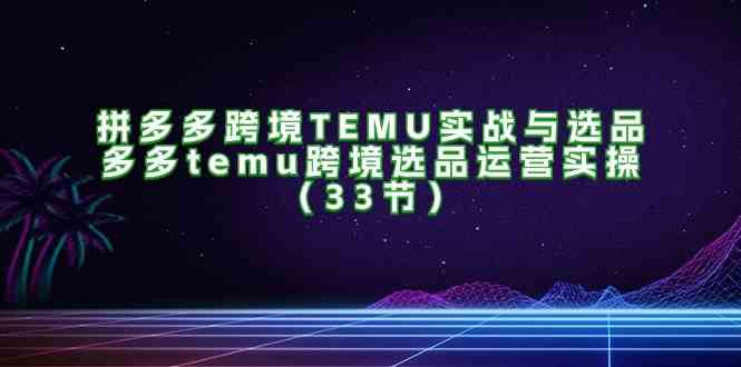 拼多多跨境TEMU实战与选品，多多temu跨境选品运营实操（33节）-硕飞聊项目