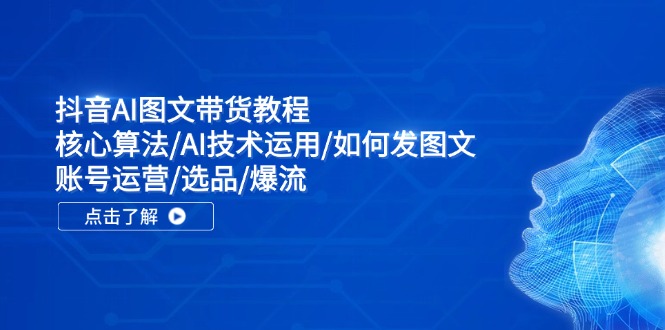 抖音AI图文带货教程：核心算法/AI技术运用/如何发图文/账号运营/选品/爆流-硕飞聊项目