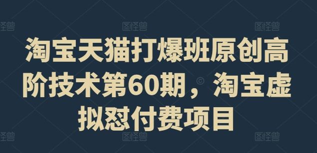 淘宝天猫打爆班原创高阶技术第60期，淘宝虚拟怼付费项目-硕飞聊项目