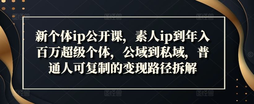 新个体ip公开课，素人ip到年入百万超级个体，公域到私域，普通人可复制的变现路径拆解-硕飞聊项目