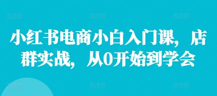 小红书电商小白入门课，店群实战，从0开始到学会-硕飞聊项目
