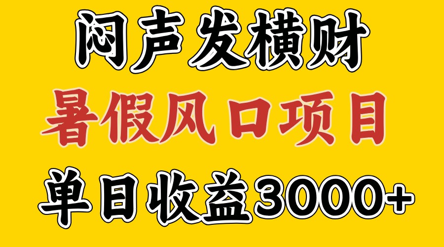 30天赚了7.5W 暑假风口项目，比较好学，2天左右上手-硕飞聊项目