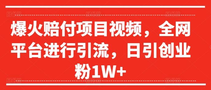 爆火赔付项目视频，全网平台进行引流，日引创业粉1W+【揭秘】-硕飞聊项目