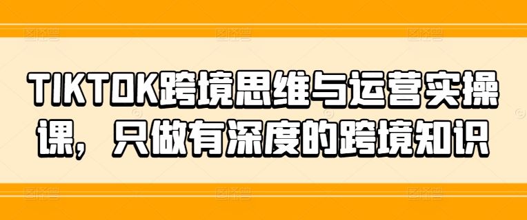 TIKTOK跨境思维与运营实操课，只做有深度的跨境知识-硕飞聊项目