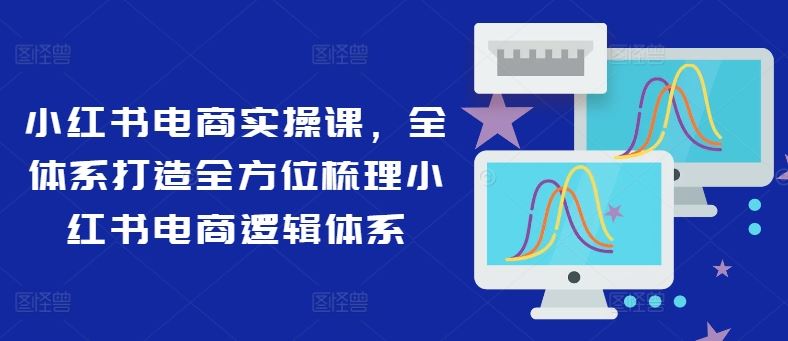 小红书电商实操课，全体系打造全方位梳理小红书电商逻辑体系-硕飞聊项目