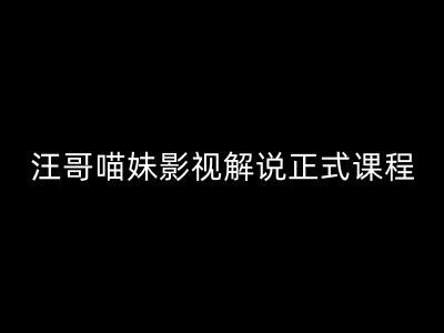 汪哥影视解说正式课程：剪映/PR教学/视解说剪辑5大黄金法则/全流程剪辑7把利器等等-硕飞聊项目
