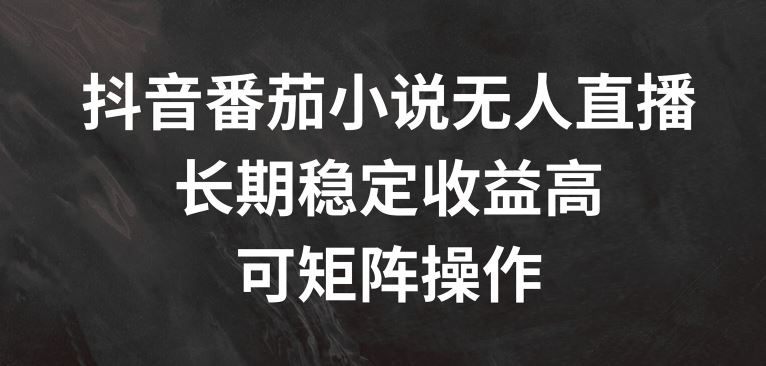 抖音番茄小说无人直播，长期稳定收益高，可矩阵操作【揭秘】-硕飞聊项目