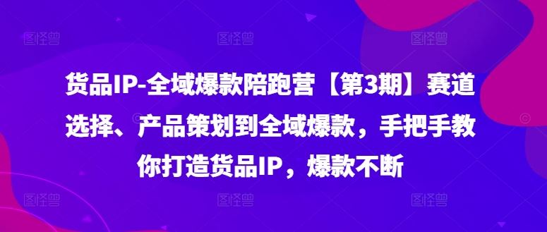 货品IP全域爆款陪跑营【第3期】赛道选择、产品策划到全域爆款，手把手教你打造货品IP，爆款不断-硕飞聊项目