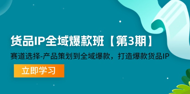 货品IP全域爆款班【第3期】赛道选择、产品策划到全域爆款，打造爆款货品IP-硕飞聊项目