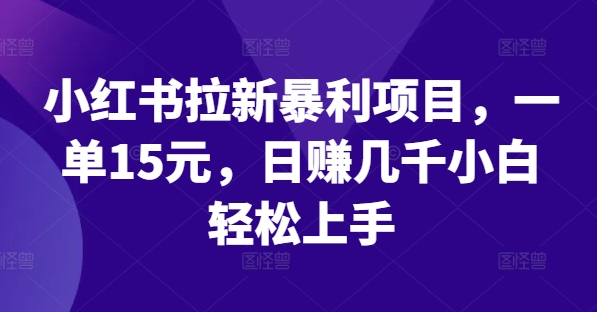 小红书拉新暴利项目，一单15元，日赚几千小白轻松上手-硕飞聊项目