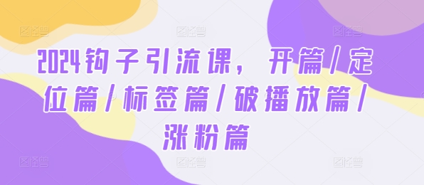 2024钩子引流课，开篇/定位篇/标签篇/破播放篇/涨粉篇-硕飞聊项目
