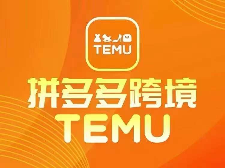 最新TEMU拼多多跨境教程，开店、运营、选品-硕飞聊项目