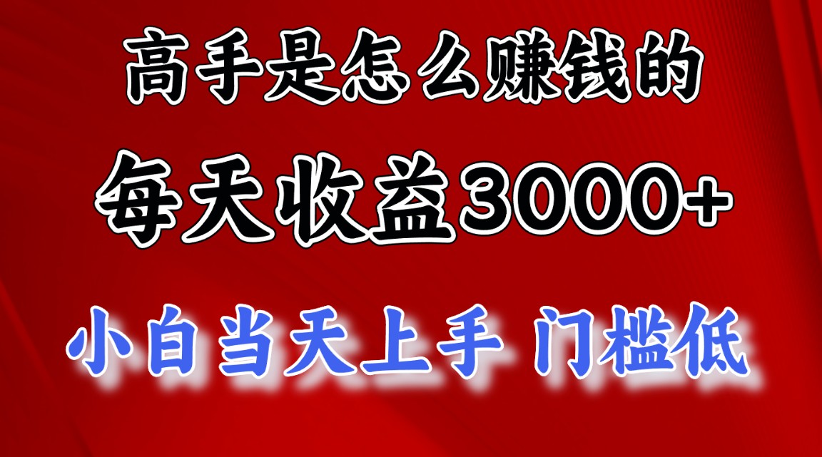 （12144期）1天收益3000+，月收益10万以上，24年8月份爆火项目-硕飞聊项目