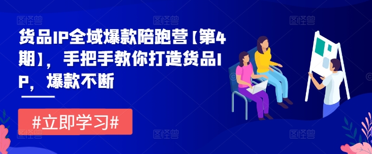 货品IP全域爆款陪跑营【第4期】，手把手教你打造货品IP，爆款不断-硕飞聊项目