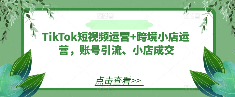 TikTok短视频运营+跨境小店运营，账号引流、小店成交-硕飞聊项目