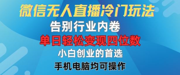 微信无人直播冷门玩法，告别行业内卷，单日轻松变现四位数，小白的创业首选【揭秘】-硕飞聊项目