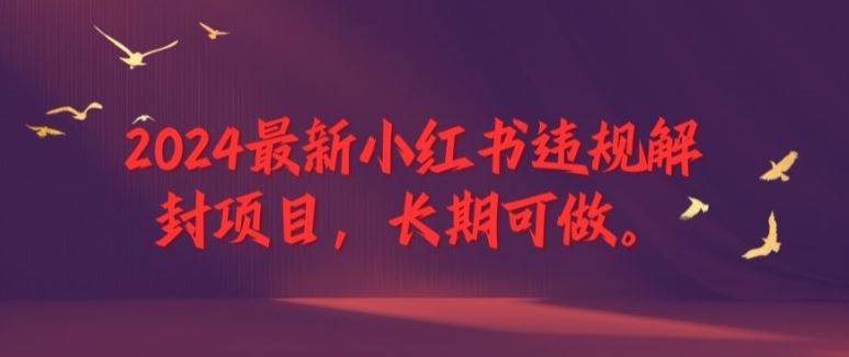 2024最新小红书违规解封项目，长期可做，一个可以做到退休的项目【揭秘】-硕飞聊项目