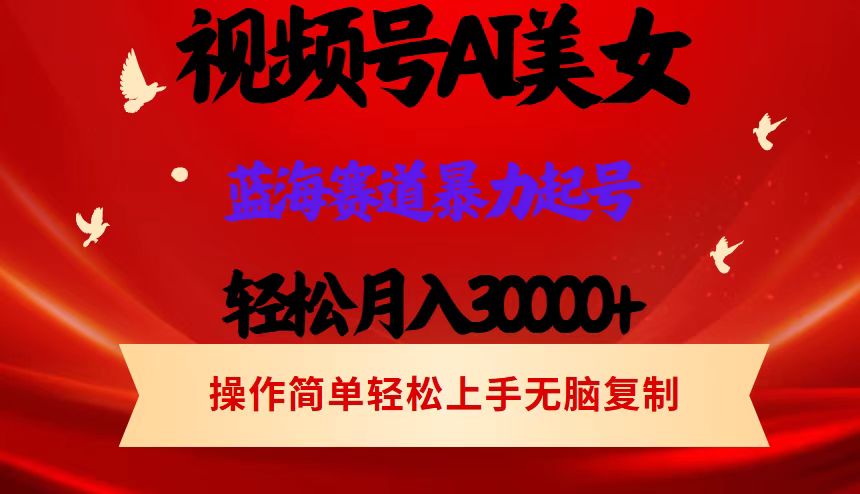 （12178期）视频号AI美女跳舞，轻松月入30000+，蓝海赛道，流量池巨大，起号猛，当…-硕飞聊项目