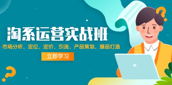 （12186期）淘系运营实战班：市场分析、定位、定价、引流、产品策划，爆品打造-硕飞聊项目
