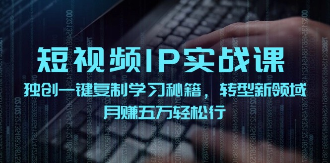 （12193期）短视频 IP实战课，独创一键复制学习秘籍，转战新领域，月赚五万轻松行-硕飞聊项目