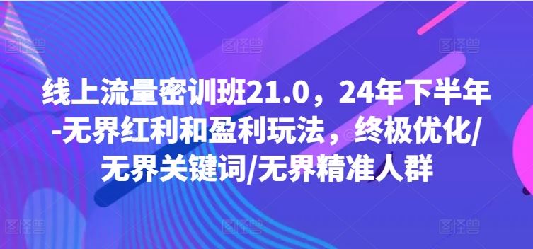 线上流量密训班21.0，24年下半年-无界红利和盈利玩法，终极优化/无界关键词/无界精准人群-硕飞聊项目