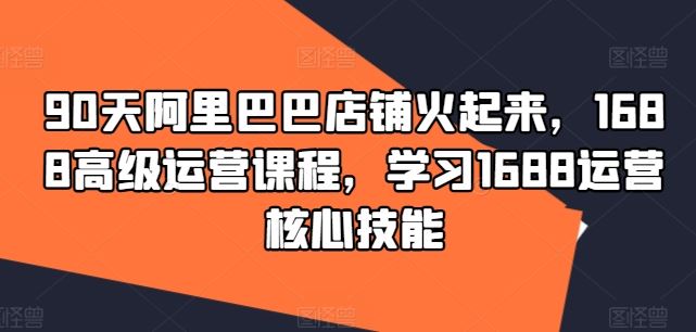 90天阿里巴巴店铺火起来，1688高级运营课程，学习1688运营核心技能-硕飞聊项目