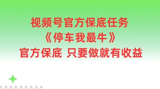 视频号官方保底任务，停车我最牛，官方保底只要做就有收益【揭秘】-硕飞聊项目