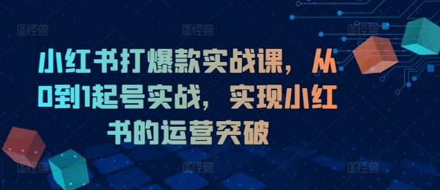小红书打爆款实战课，从0到1起号实战，实现小红书的运营突破-硕飞聊项目