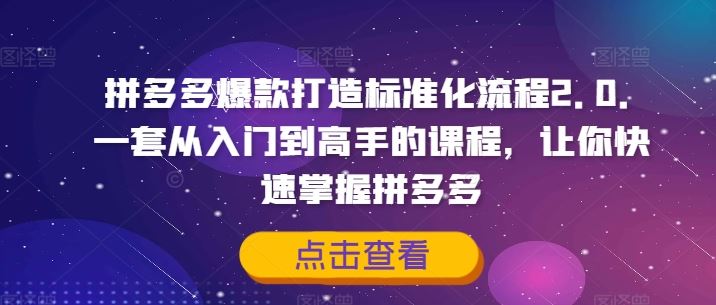 拼多多爆款打造标准化流程2.0，一套从入门到高手的课程，让你快速掌握拼多多-硕飞聊项目