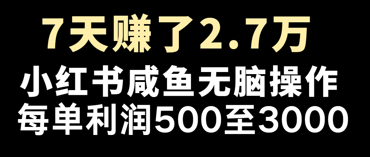 七天赚了2.7万！每单利润最少500+，轻松月入5万+小白有手就行-硕飞聊项目