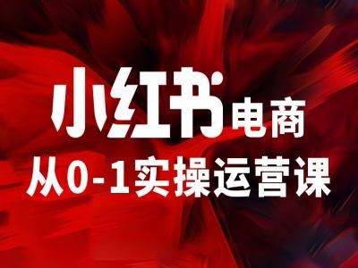 小红书电商从0-1实操运营课，让你从小白到精英-硕飞聊项目