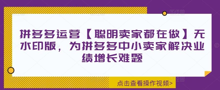 拼多多运营【聪明卖家都在做】无水印版，为拼多多中小卖家解决业绩增长难题-硕飞聊项目