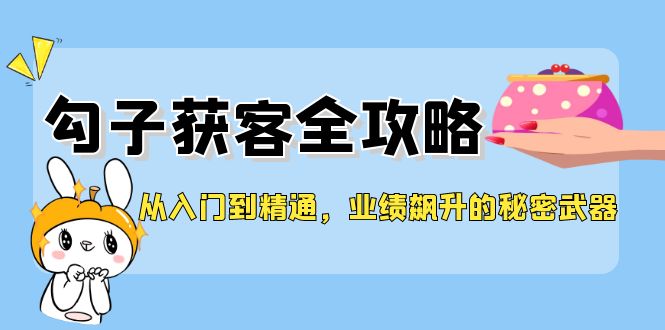 从入门到精通，勾子获客全攻略，业绩飙升的秘密武器-硕飞聊项目