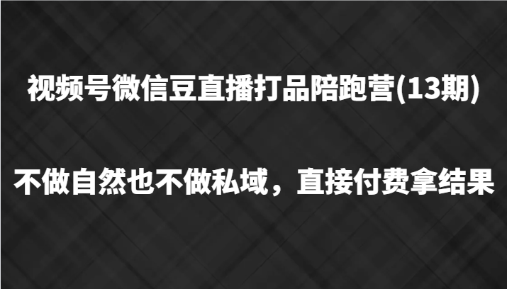 视频号微信豆直播打品陪跑(13期)，不做不自然流不做私域，直接付费拿结果-硕飞聊项目