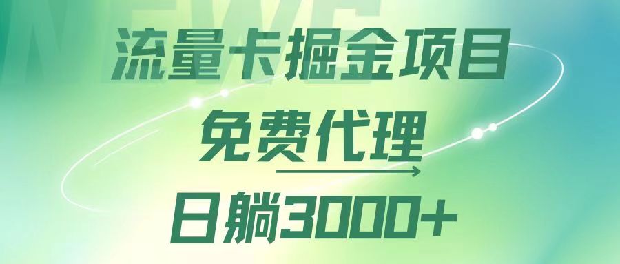 （12321期）流量卡掘金代理，日躺赚3000+，变现暴力，多种推广途径-硕飞聊项目