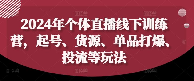 2024年个体直播训练营，起号、货源、单品打爆、投流等玩法-硕飞聊项目