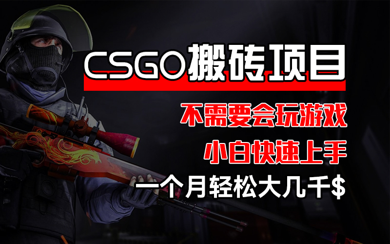 （12332期）CSGO 装备搬砖项目，操作简单，不需要会玩游戏，小白也能快速上手，一…-硕飞聊项目